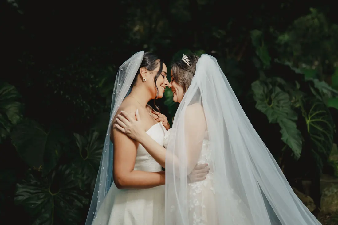 Novios bajo el velo en un bosque